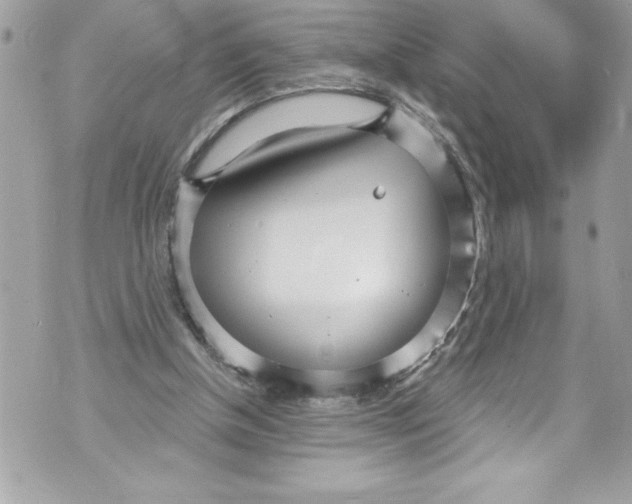 X0000070880154200607150155