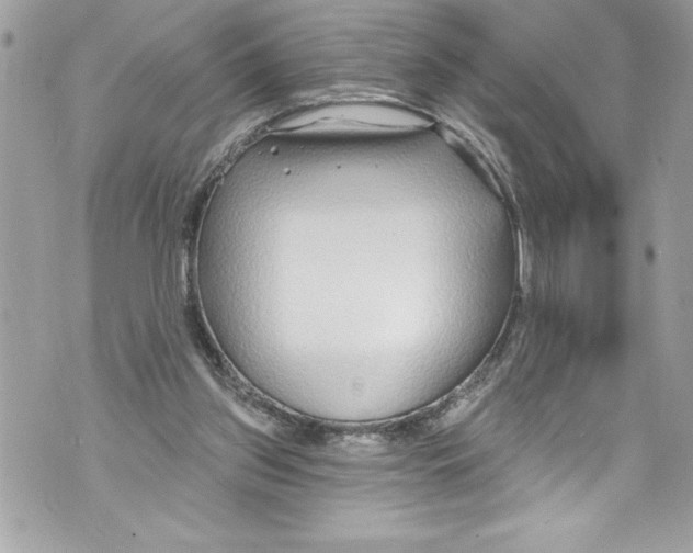 X0000070880157200607150155