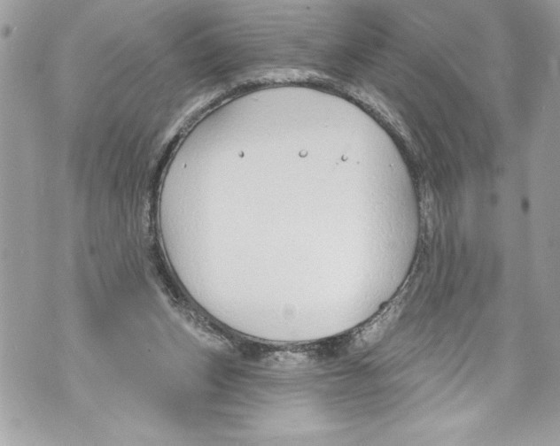 X0000070880159200607150155