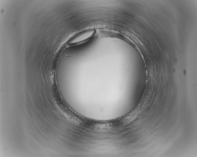 X0000070880160200607150155