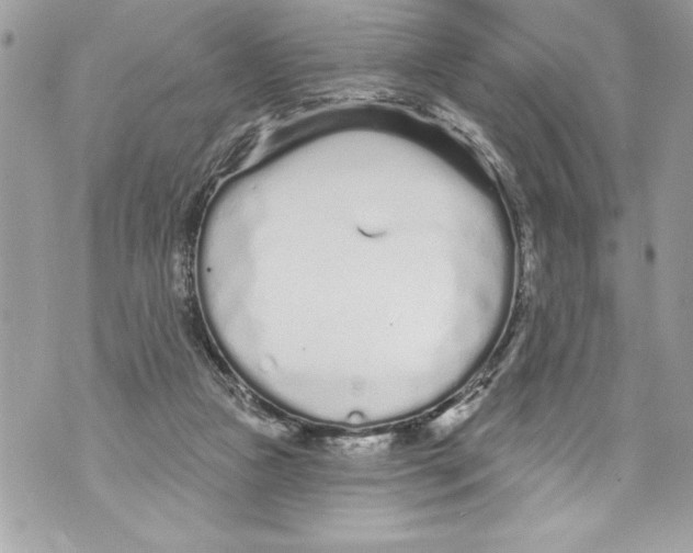 X0000070880161200607150155