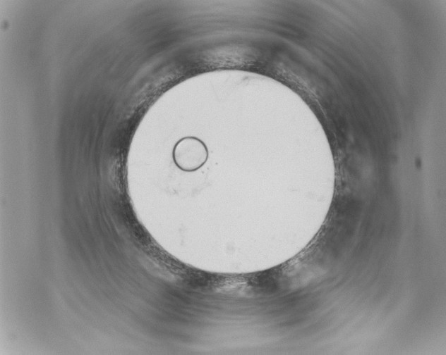 X0000070880162200607150155