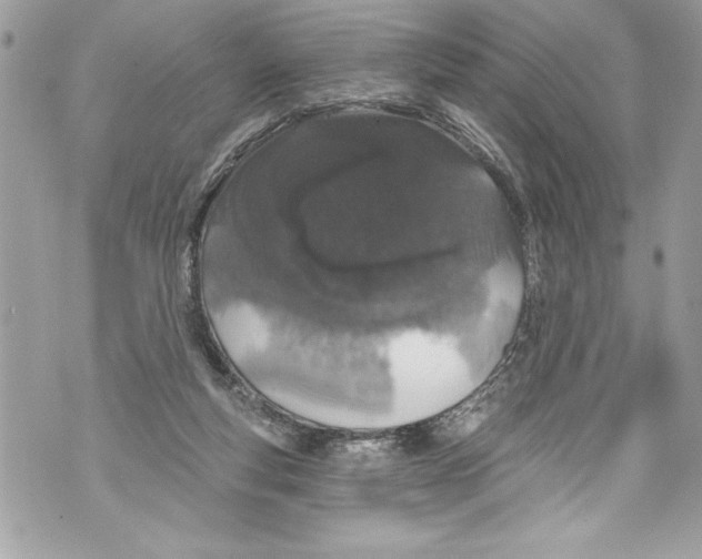 X0000070880163200607150155