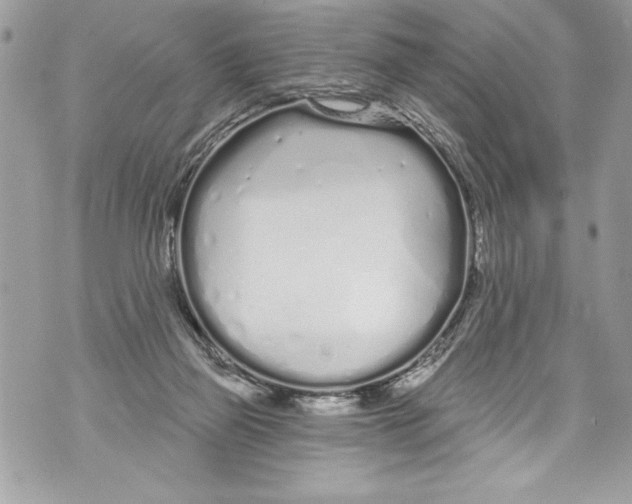 X0000070880165200607150155