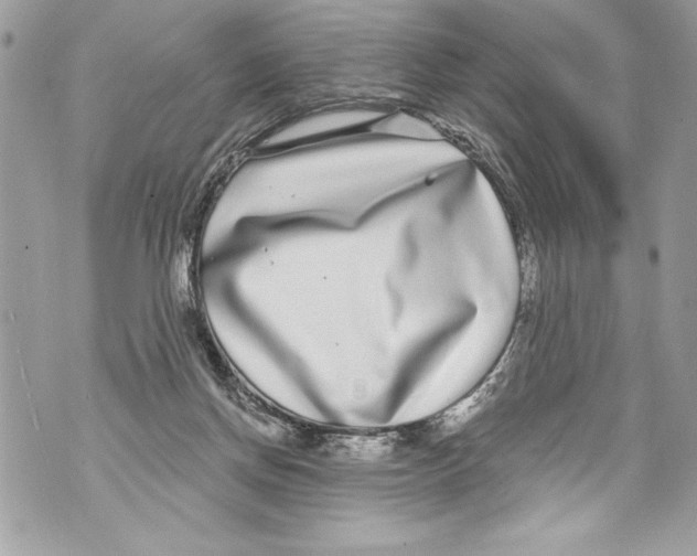 X0000070880166200607150155