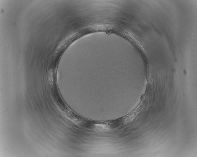 X0000070880167200607150155