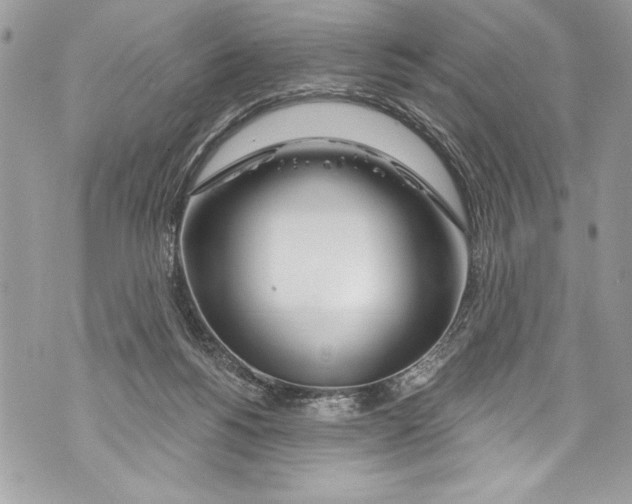 X0000070880168200607150155