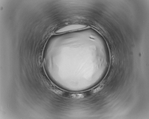 X0000070880169200607150155