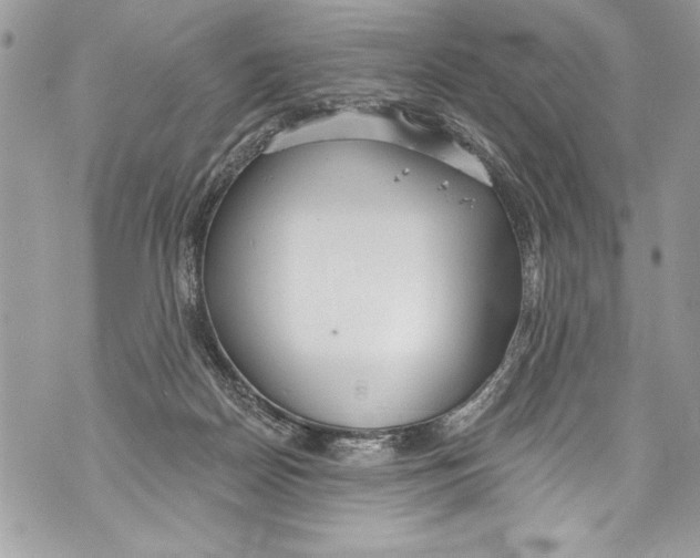 X0000070880170200607150155