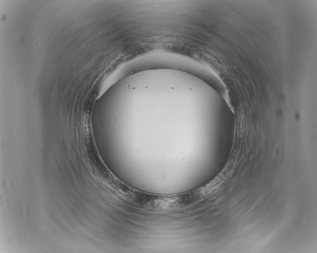 X0000070880172200607150155