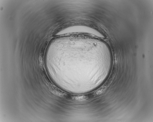 X0000070880173200607150155