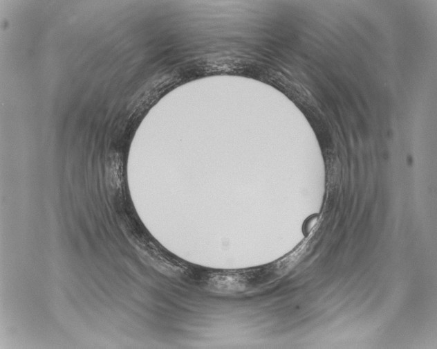 X0000070880174200607150155