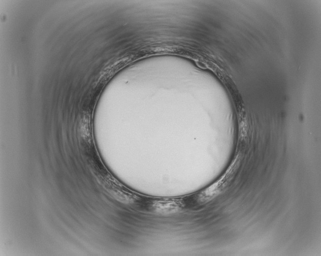 X0000070880175200607150155