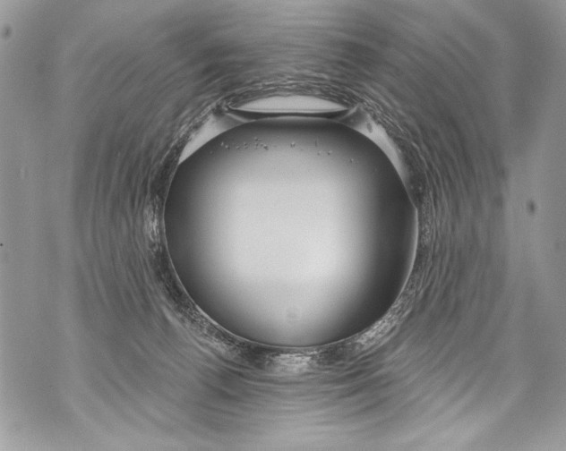 X0000070880176200607150155