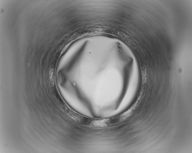 X0000070880178200607150155