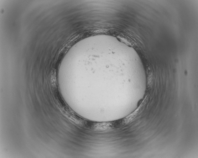 X0000070880179200607150155