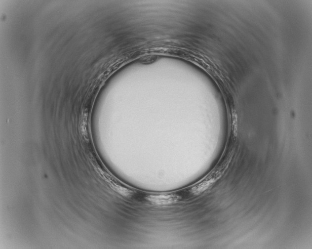 X0000070880181200607150155