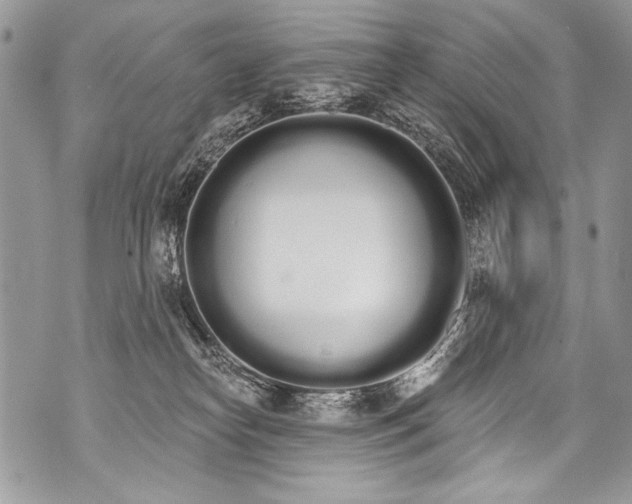 X0000070880182200607150155