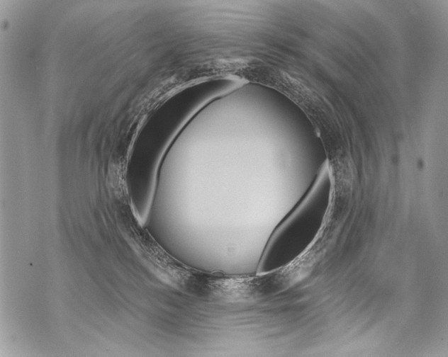 X0000070880184200607150155