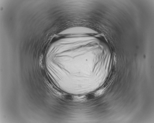 X0000070880185200607150155