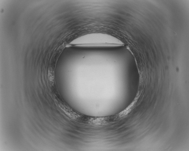 X0000070880186200607150155