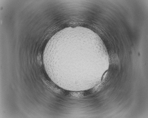 X0000070880187200607150155