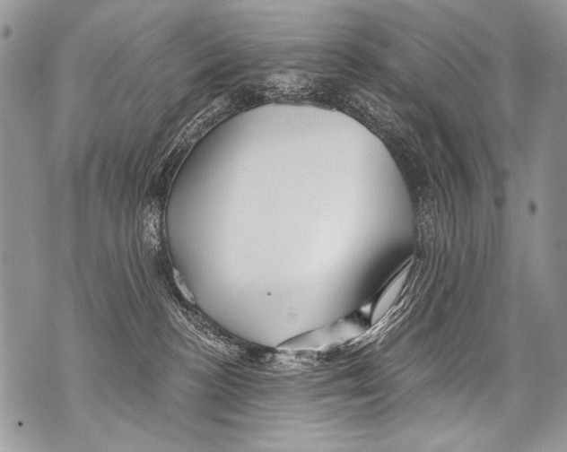 X0000070880188200607150155