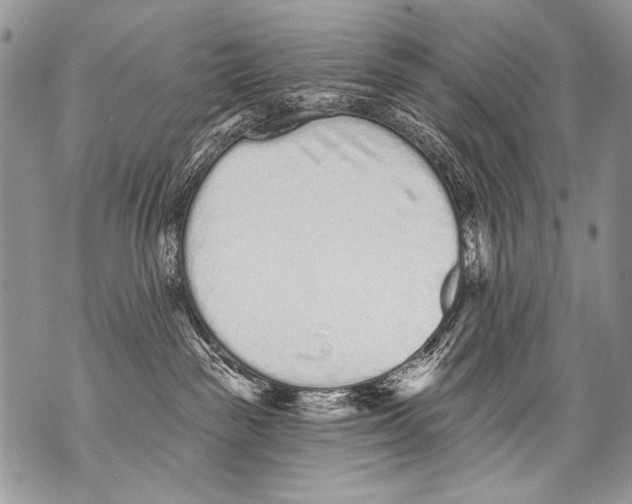 X0000070880189200607150155