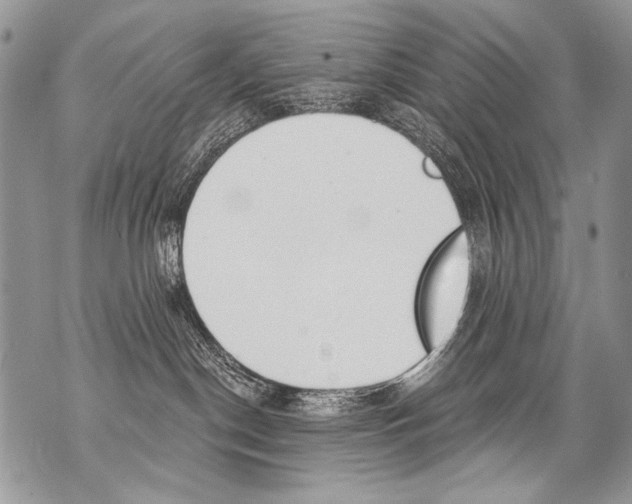 X0000070880190200607150155