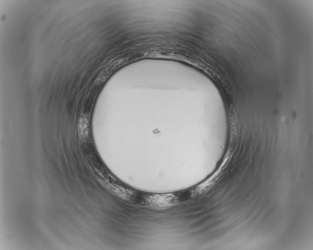 X0000070880191200607150155