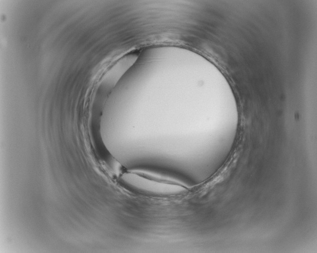 X0000070880193200607150155