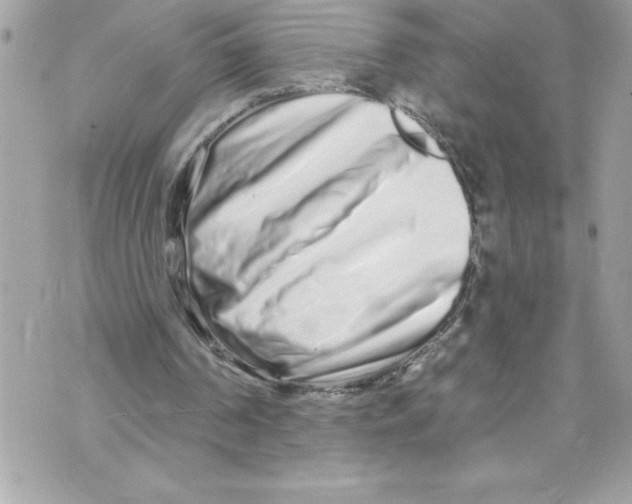 X0000070880194200607150155