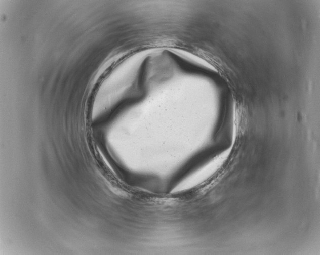 X0000070880195200607150154