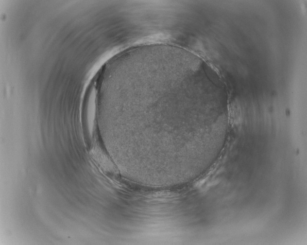 X0000070880196200607150154