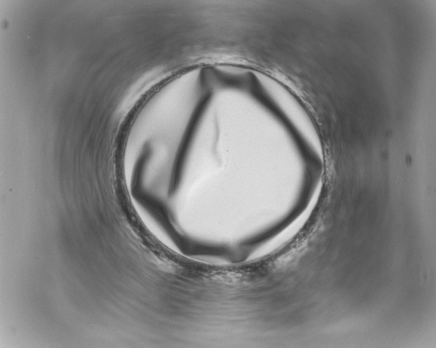 X0000070880199200607150154