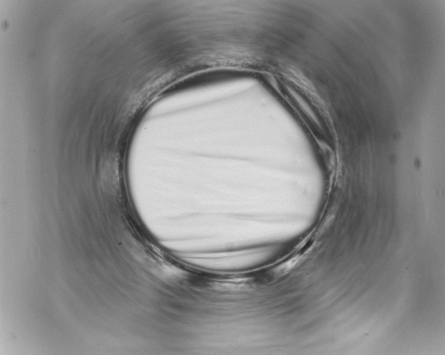 X0000070880202200607150154