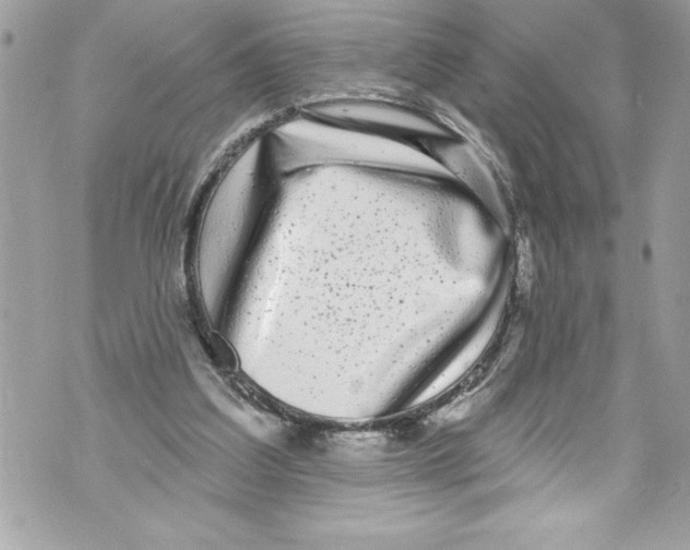 X0000070880203200607150154