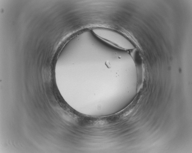 X0000070880204200607150154