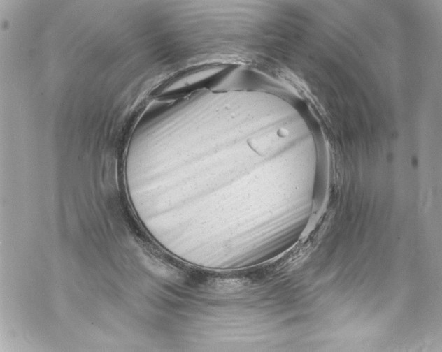 X0000070880205200607150154