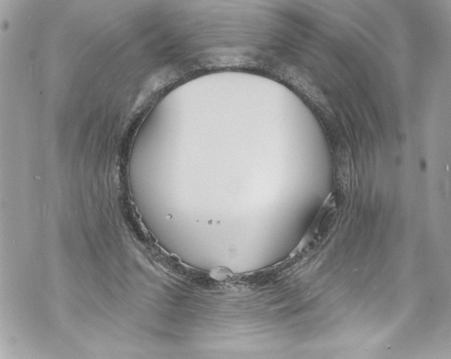 X0000070880207200607150154