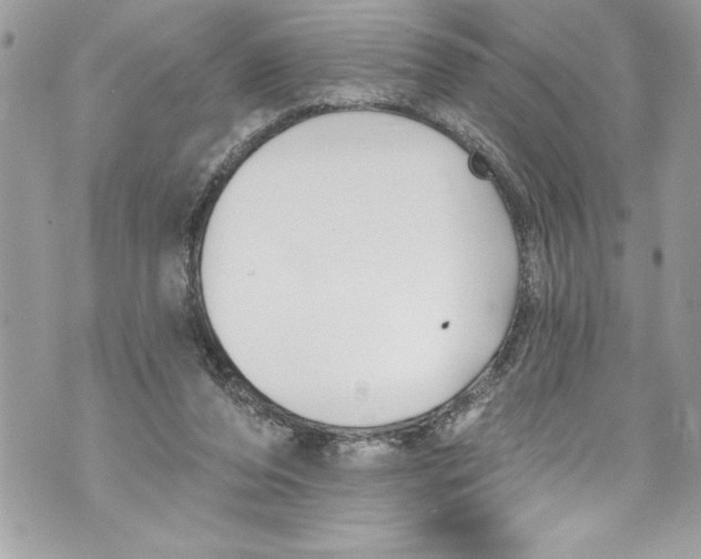 X0000070880208200607150154