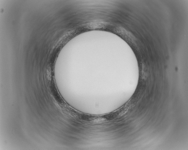 X0000070880210200607150154