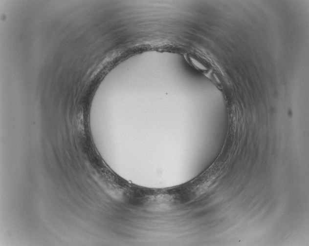 X0000070880212200607150154