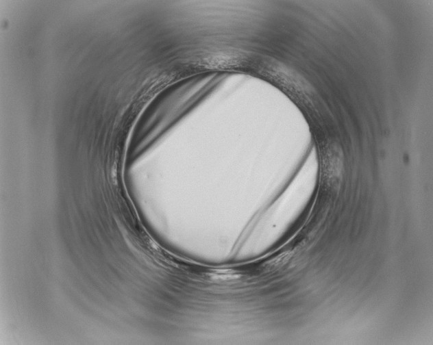 X0000070880214200607150154