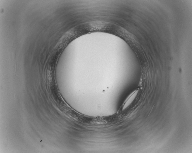 X0000070880215200607150154