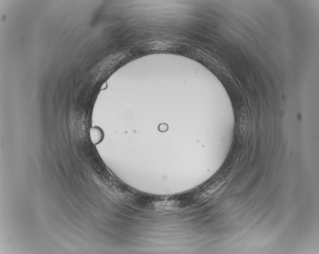 X0000070880216200607150154