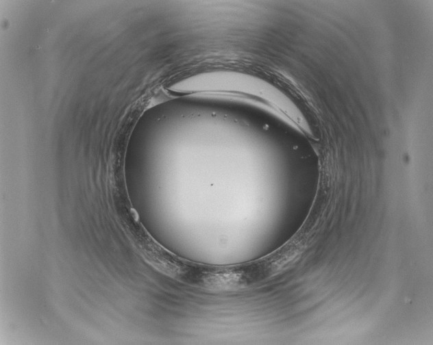 X0000070880217200607150154