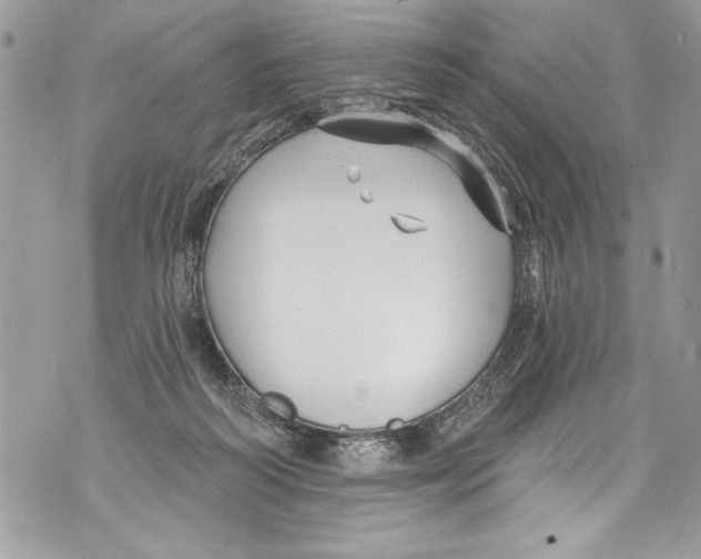 X0000070880218200607150154