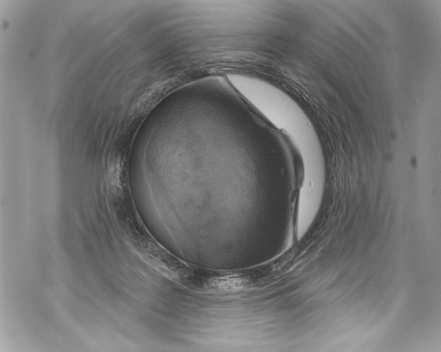 X0000070880219200607150154