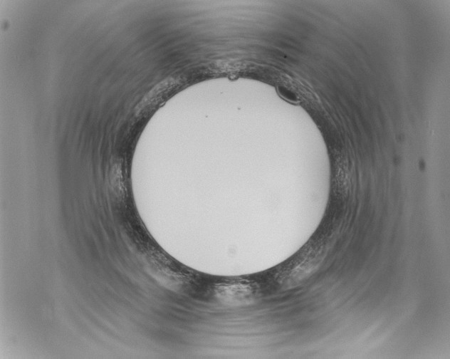 X0000070880220200607150154